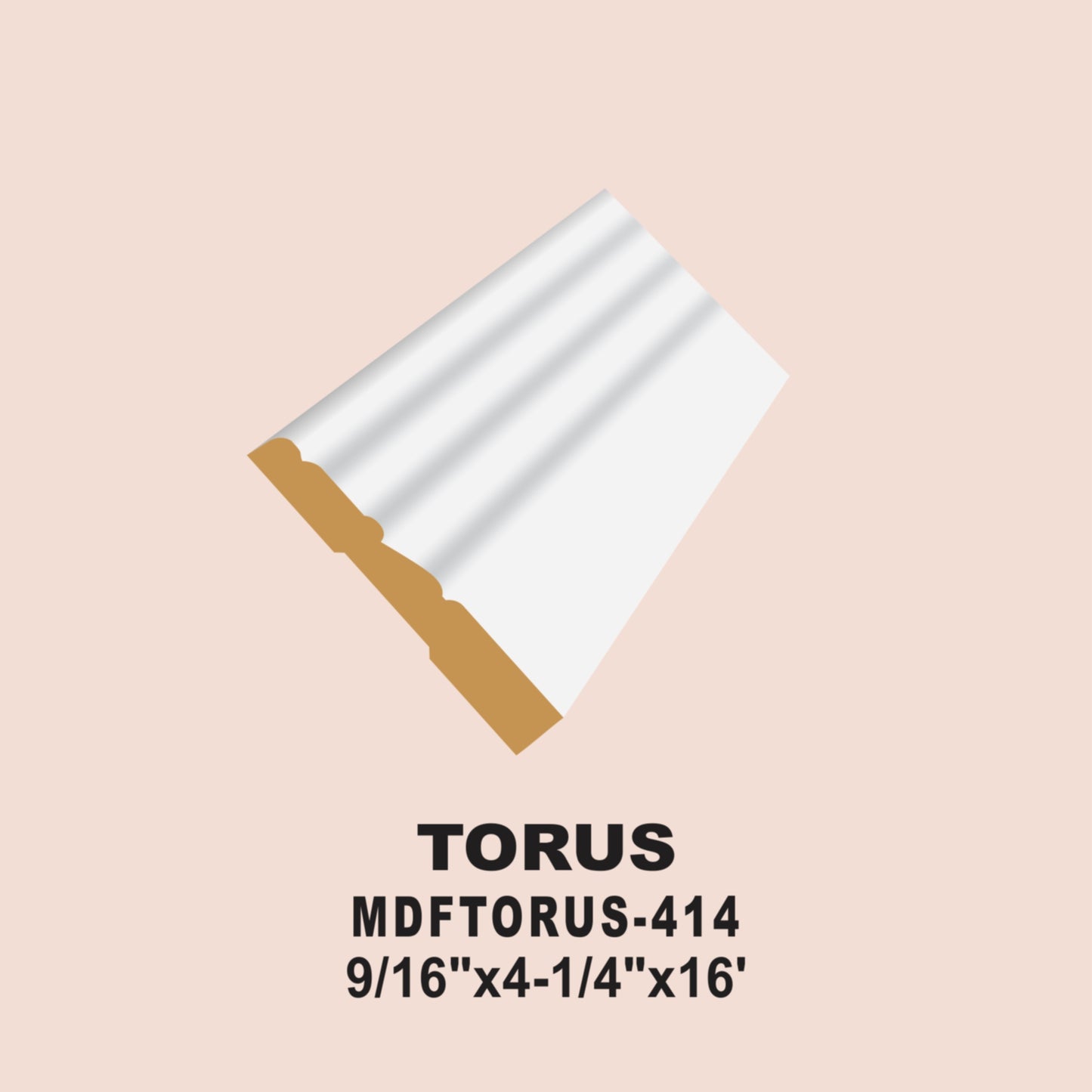 TORUS