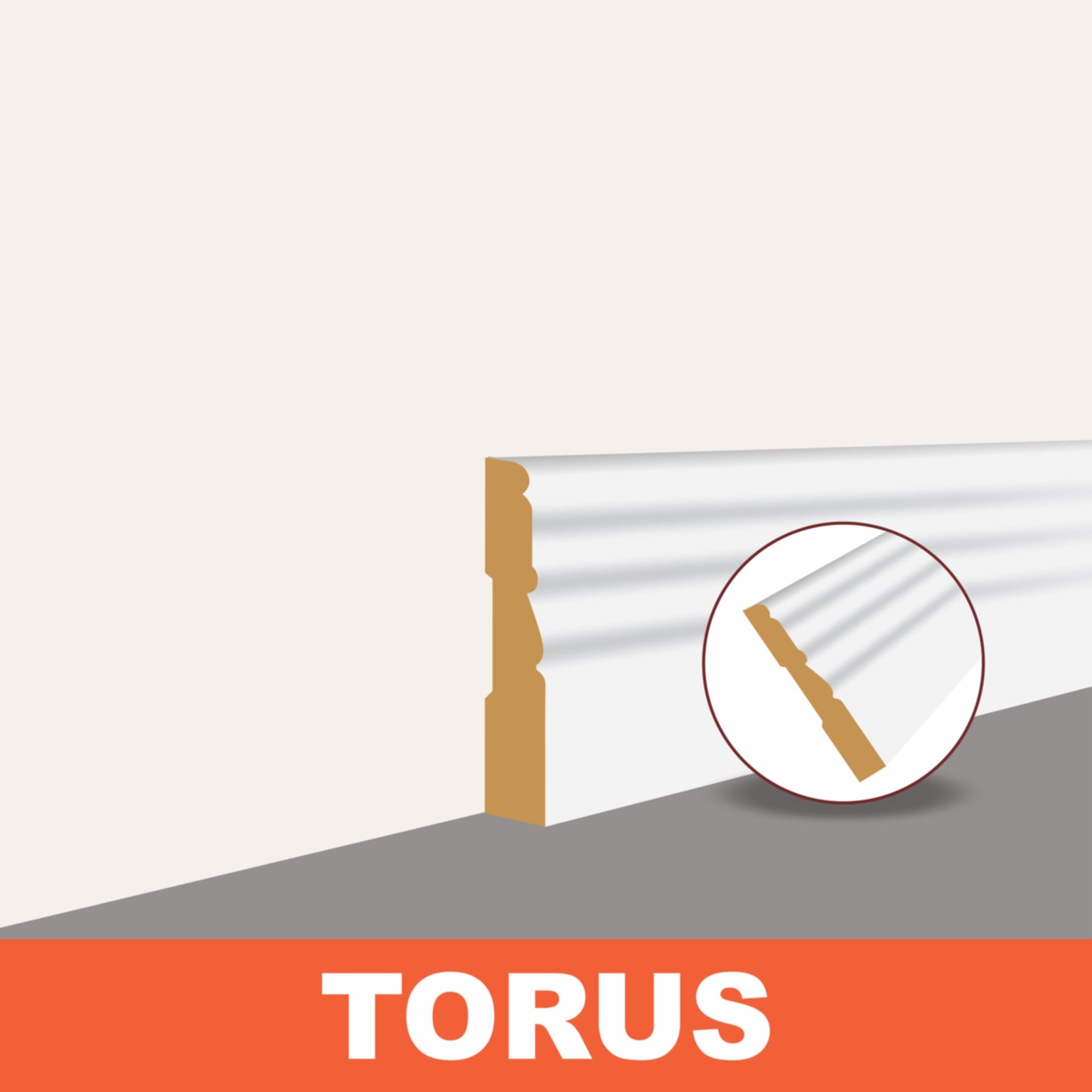 TORUS